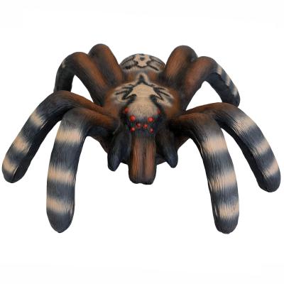 3D terč sklípkan malý, tarantule Leitold