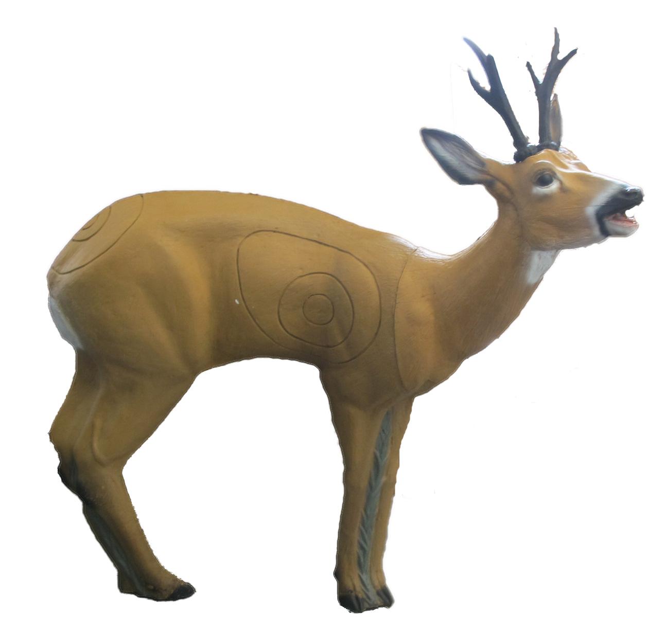 3D terč srnec