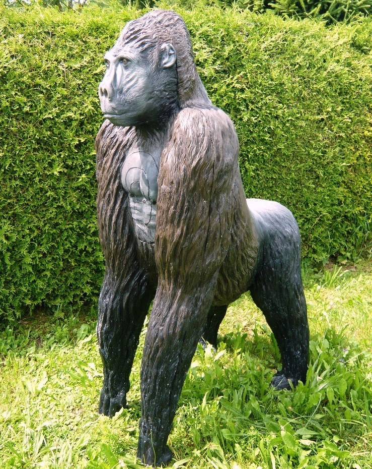 3D terč gorila, terč Leitold