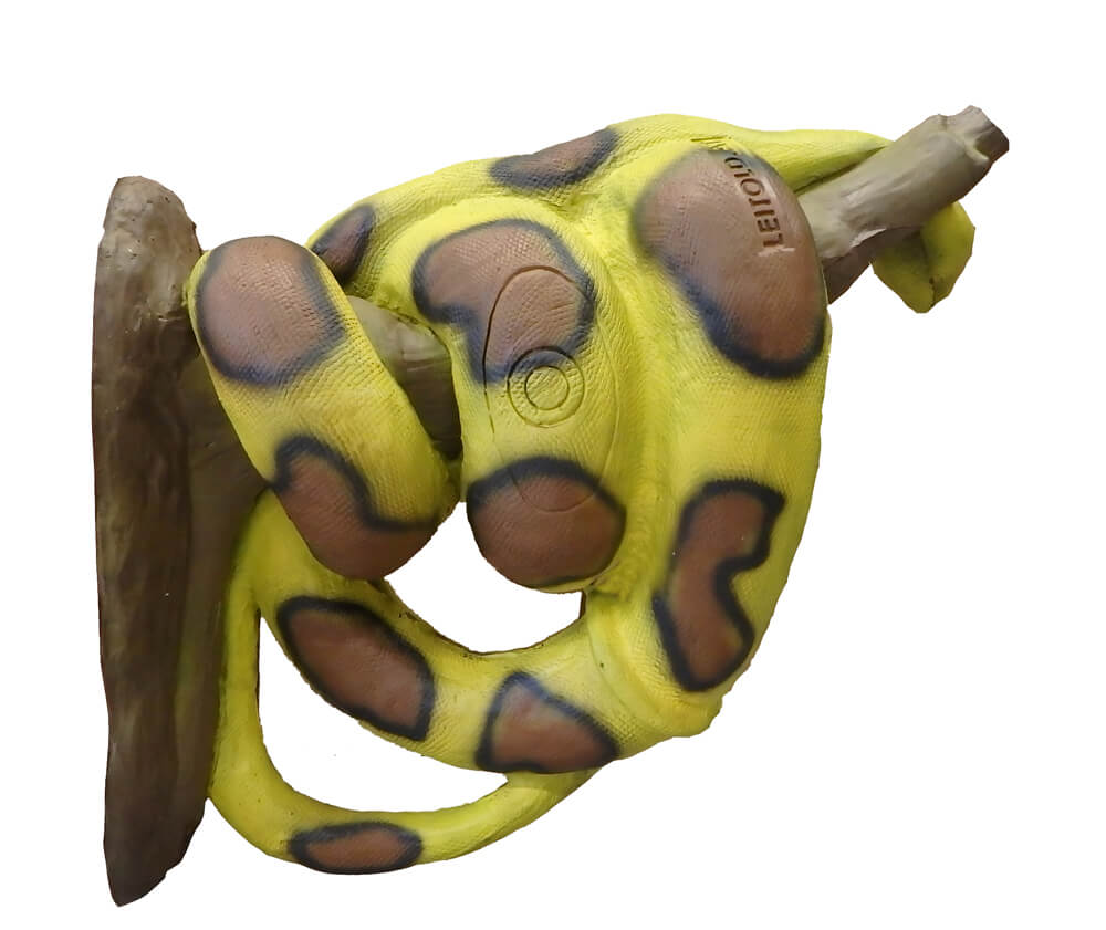 3D terč hroznýš královský žlutý, terč pro lukostřelbu