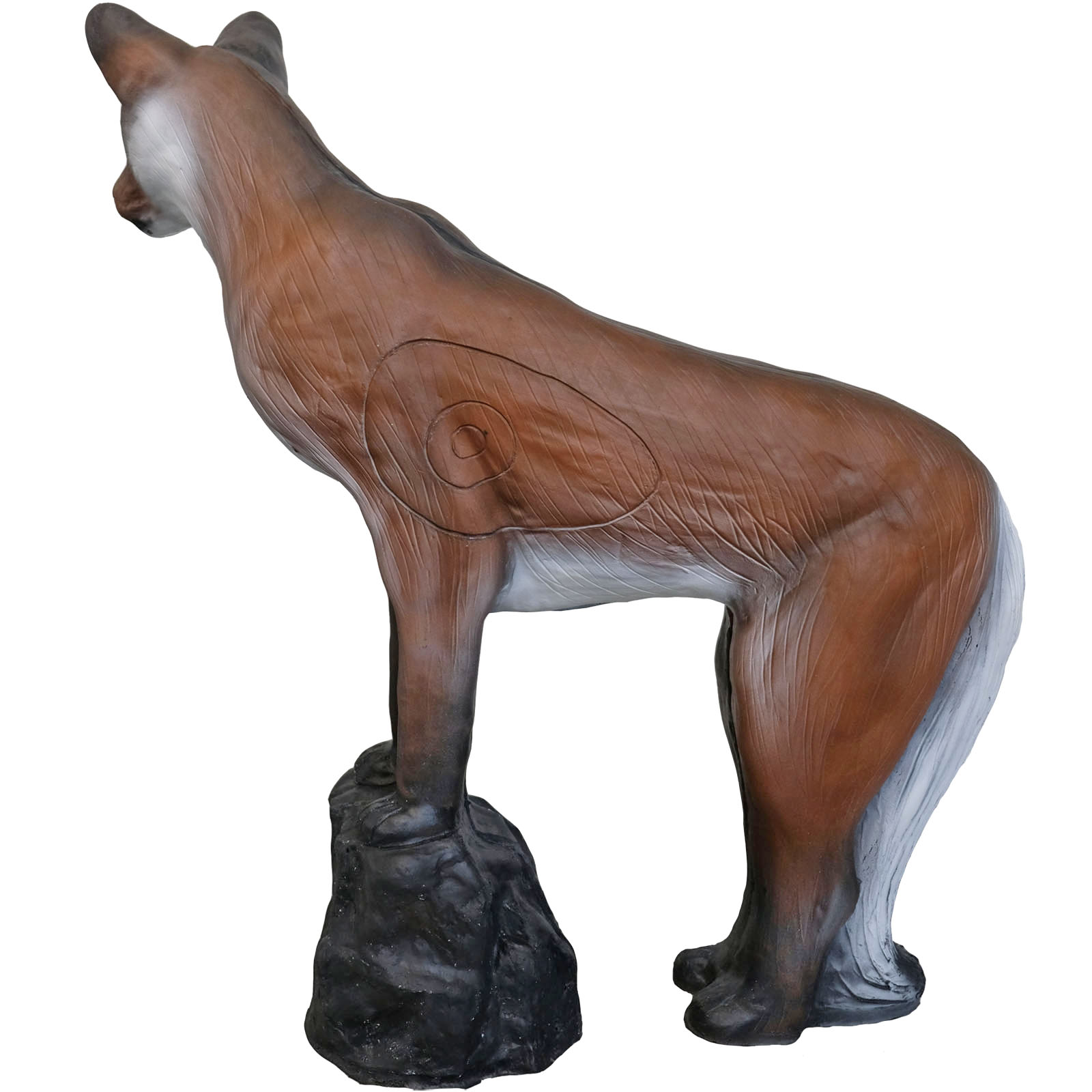 3D terč pes Dingo, terč Leitold