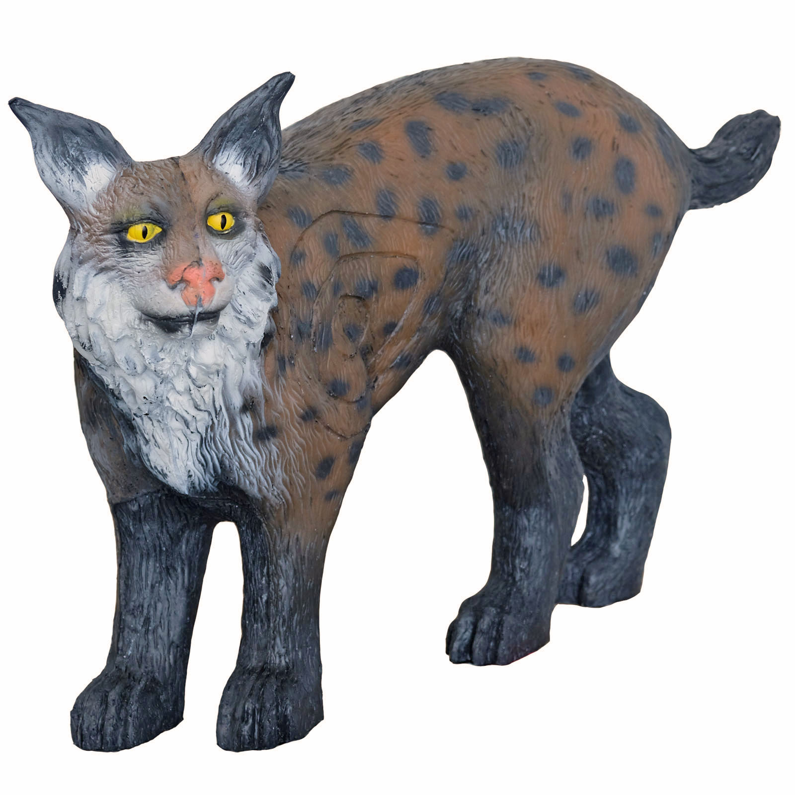 3D terč rys, terč Leitold