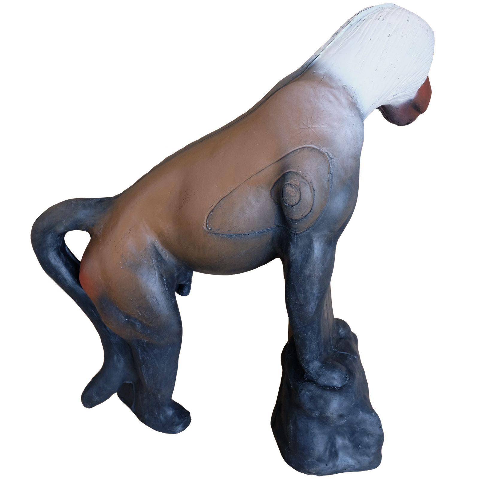3D terč pavián, terč Leitold