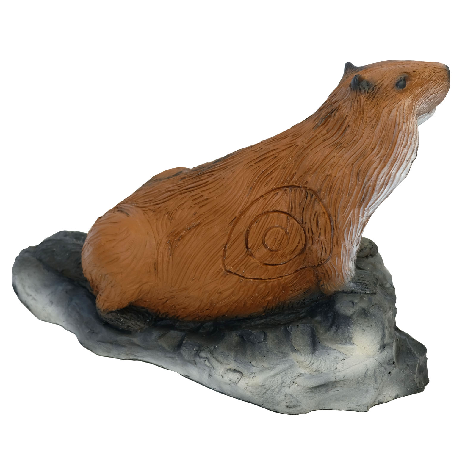 3D terč svišť, terč Leitold