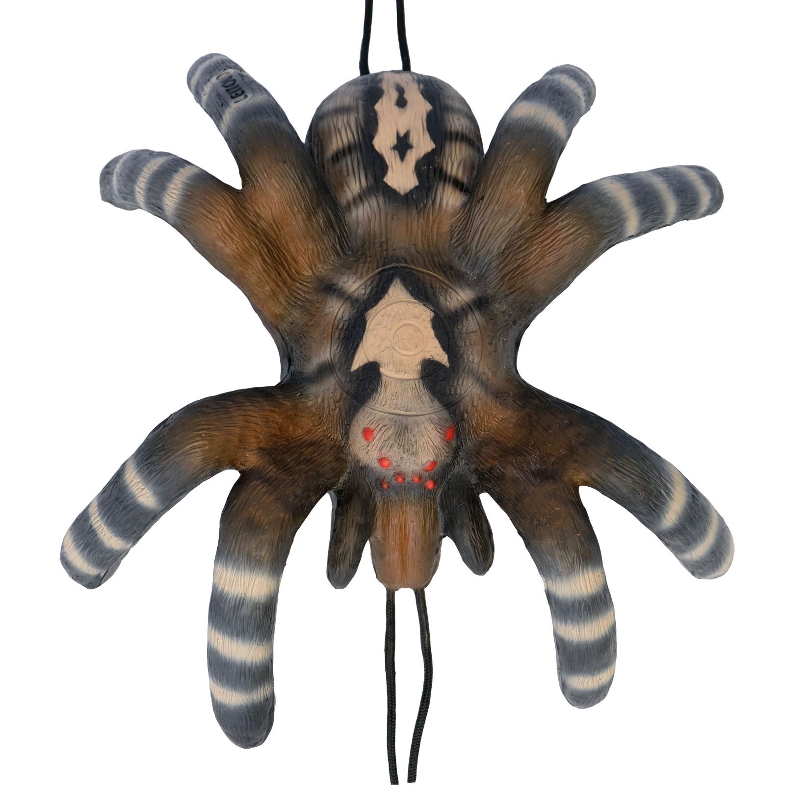3D terč sklípkan malý, tarantule Leitold