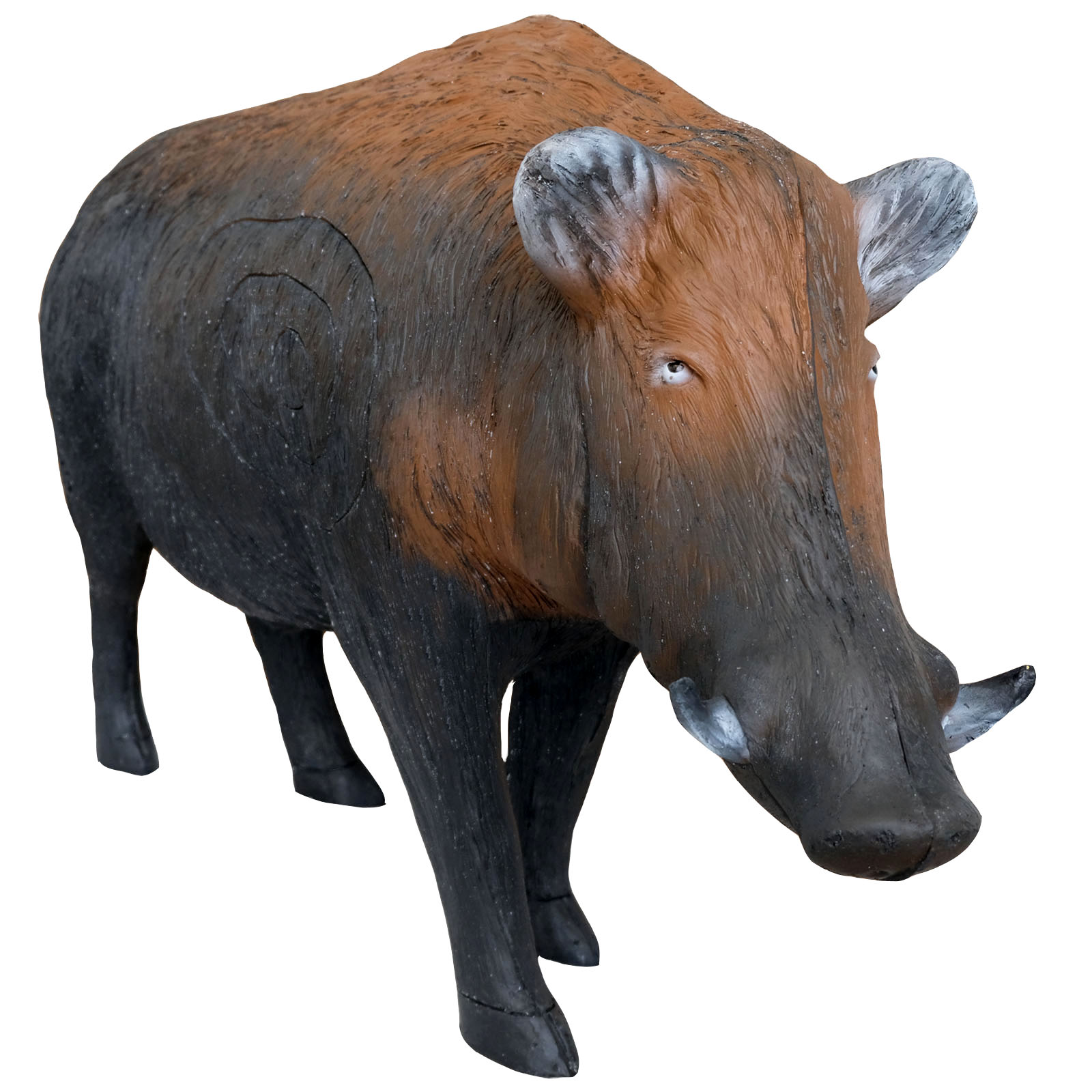 3D terč divočák, mohutný kňour, Terč Leitold