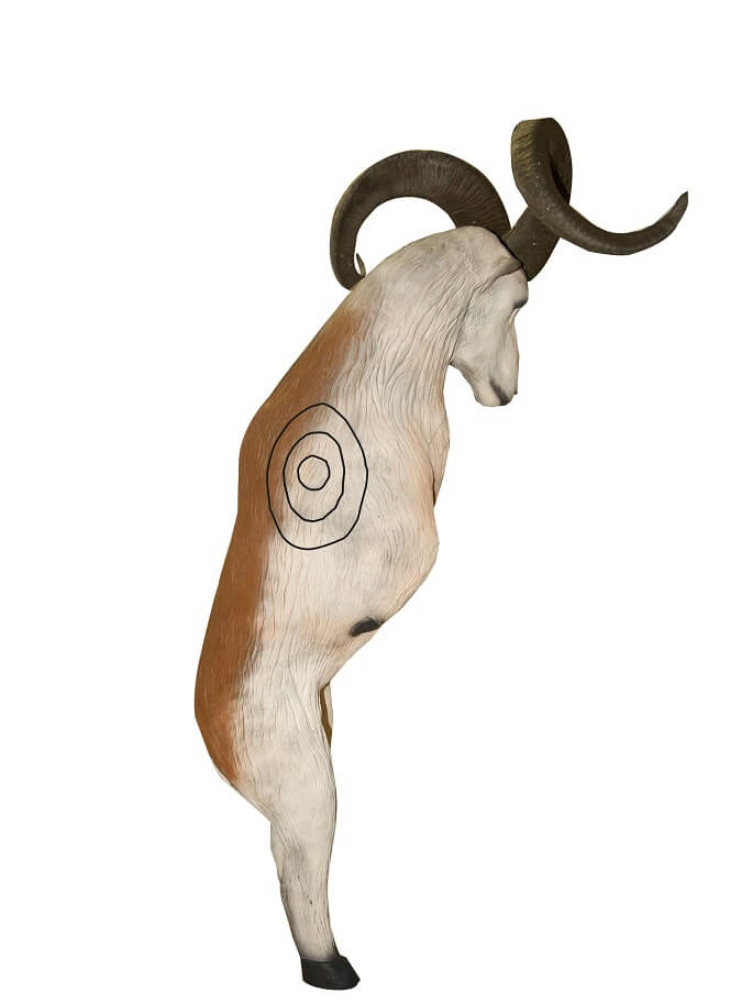 3D terč ovce Marco Polo, terč Leitold