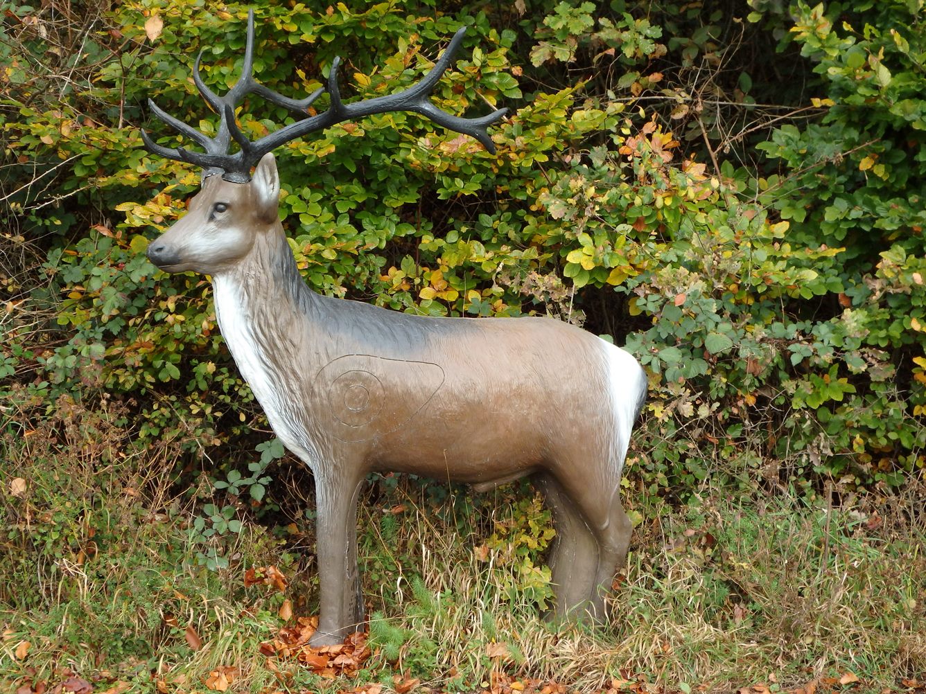 3D terč jelen, terč Leitold