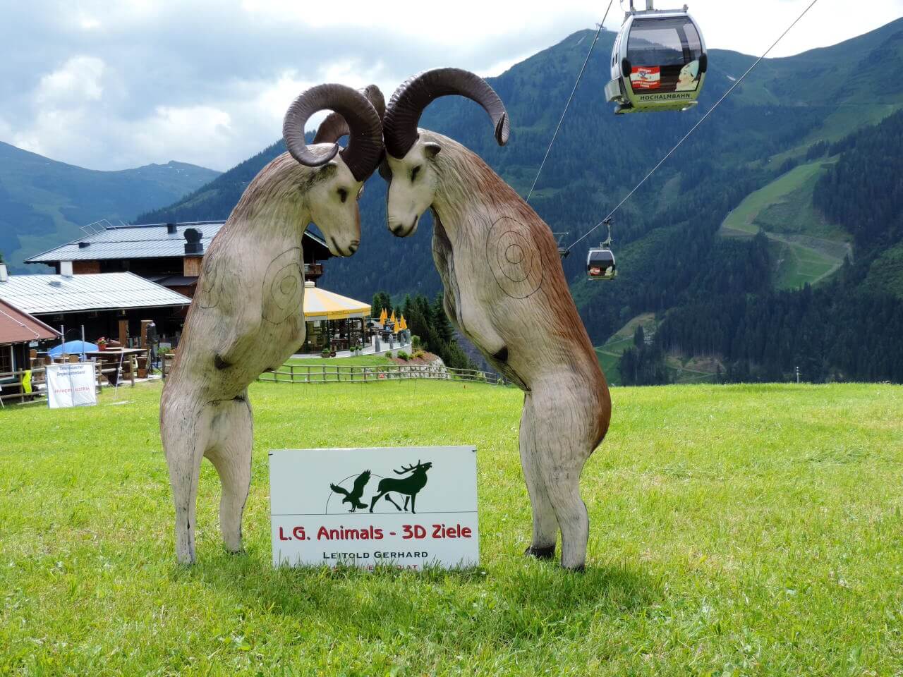 3D terč, muflon na zadních, terč Leitold