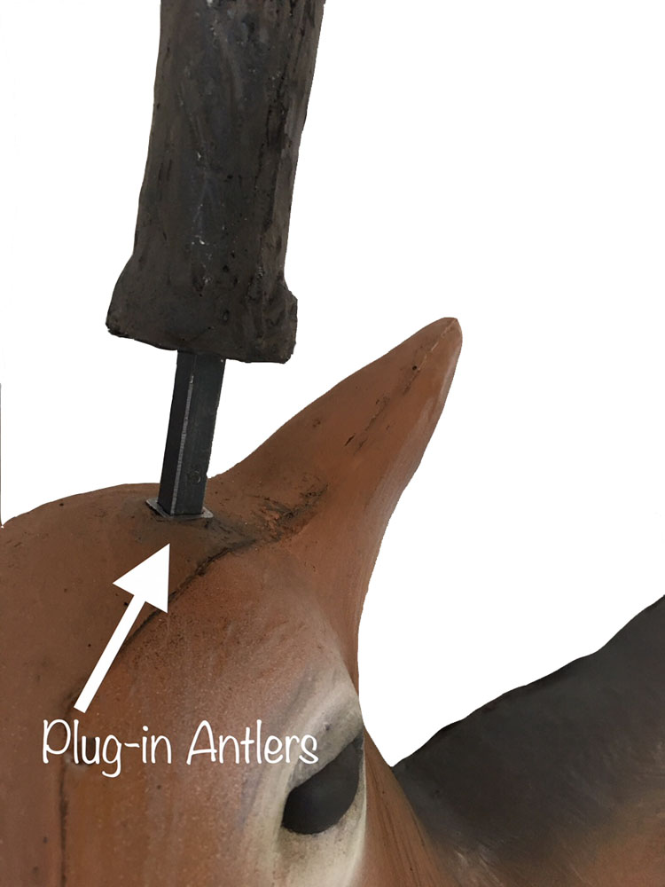 3D terč jelen běloocasý