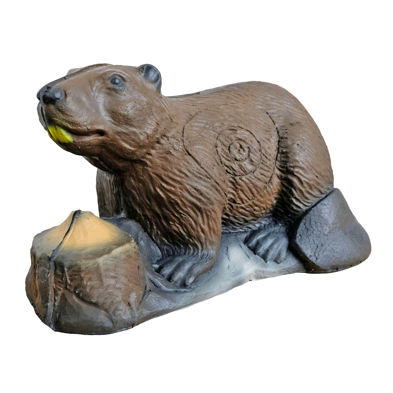 3D terč bobr, terč Leitold