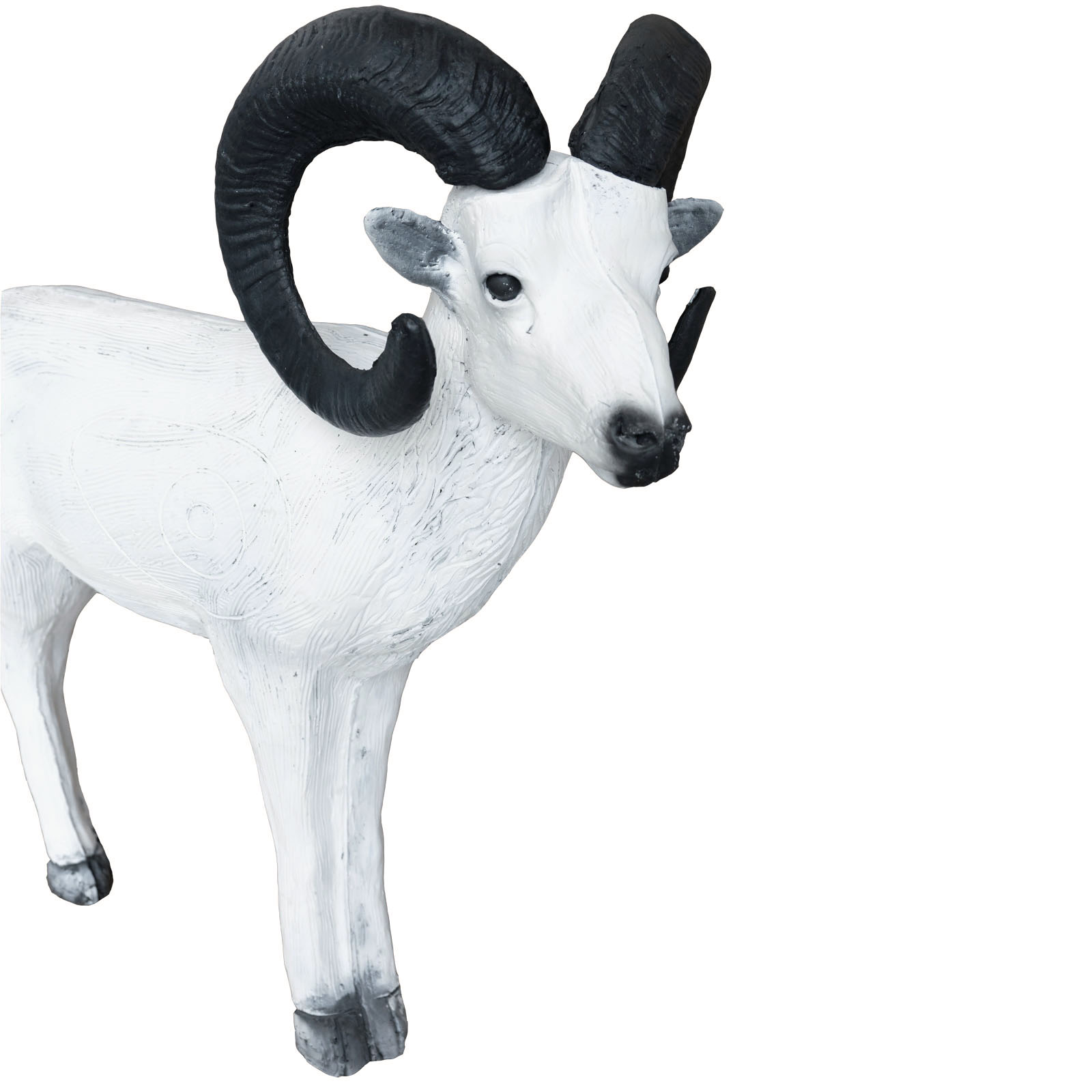 3D terč aljašská ovce, sněžná ovce Leitold