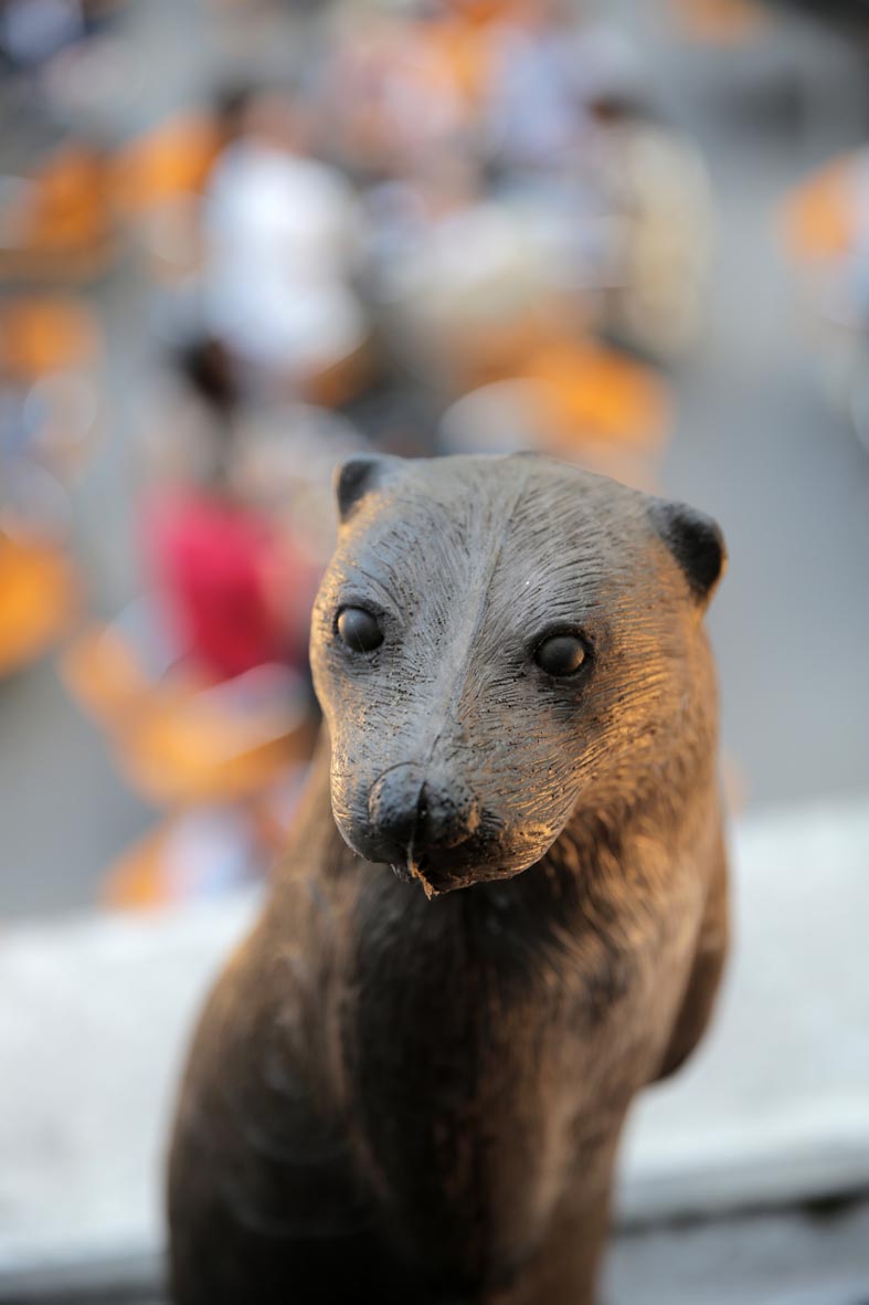 3D terč vydra, terč Leitold