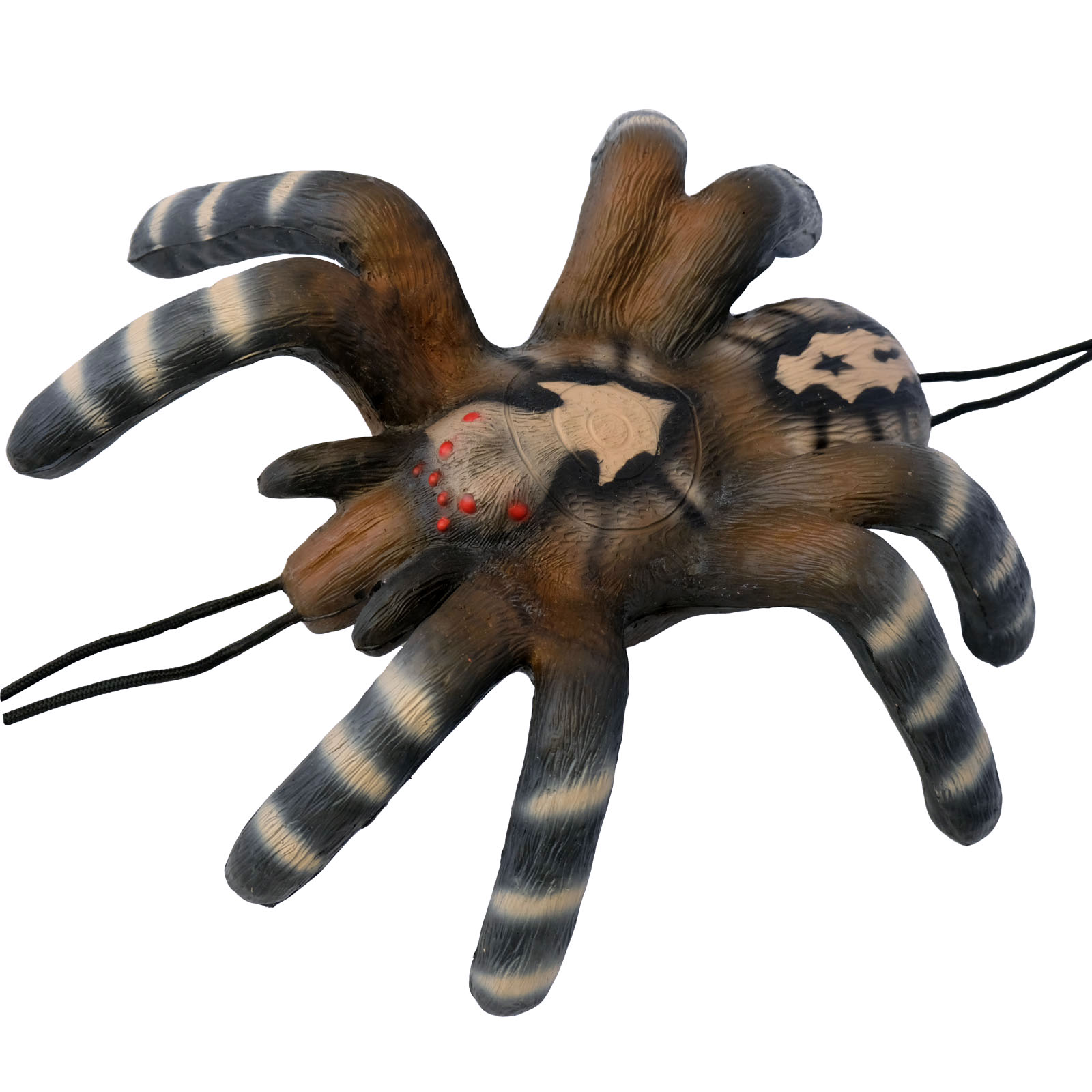 3D terč sklípkan malý, tarantule Leitold