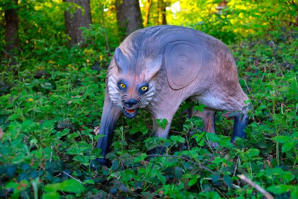 3D terč kojot, terč Leitold