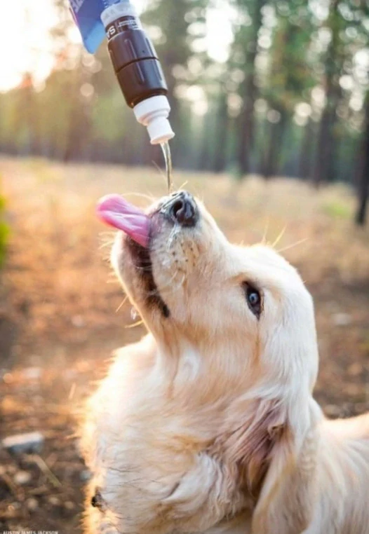 Filtr na vodu, Sawyer Micro Squeeze Water Filtration System