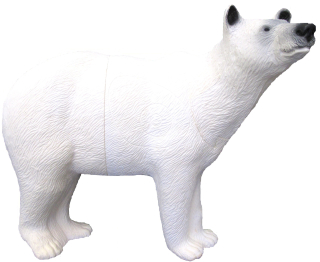 Polární medvěd, 3D terč, SRT