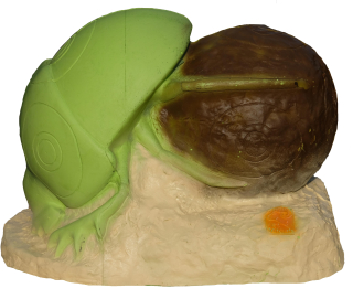 3D terč brouk, skarabeus, terč SRT
