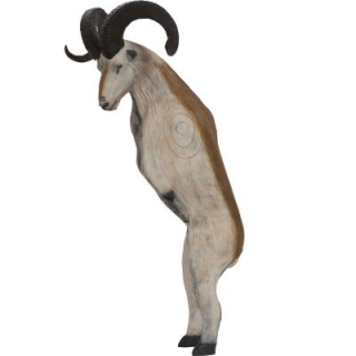 3D terč ovce Marco Polo, terč Leitold