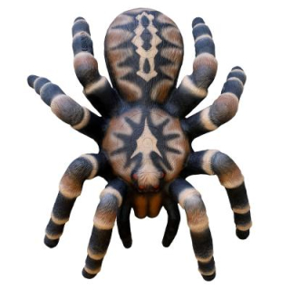 3D terč tarantule, pavouk Leitold