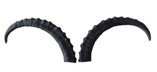 3D rohy pro kozoroha