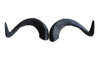 3D náhradní rohy Marko Polo