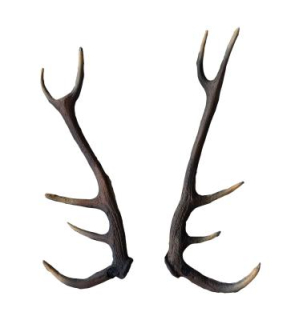 3D náhradní parohy pro jeleny