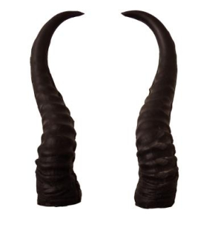 3D rohy pro antilopy