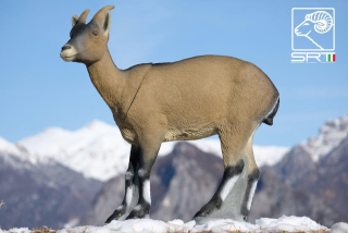 3D terč horská koza, kozoroh, Cabra SRT
