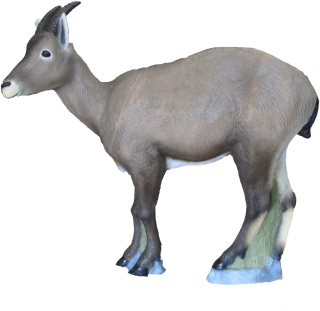 3D terč kozoroh, ibex, SRT