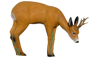 3D terč srnec na pastvě, SRT