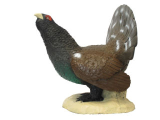 3D terč tetřev, terč SRT