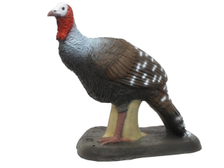 3D terč krůta, morka SRT terč