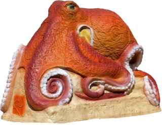 3D terč chobotnice, terč SRT