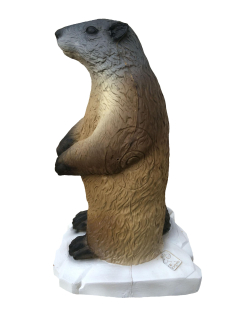 3D terč svišť, terč SRT