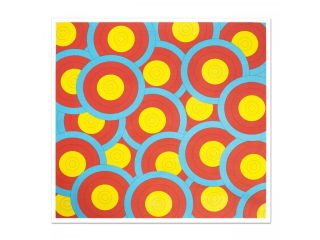 YATE Terč "SALAD" 63 x 63 cm, speciální papír+nylon, sada 10 ks