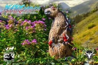 3D terč svišť, terč leitold, pro lukostřelbu