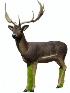 3D terč, daněk černý, terč Srt Targets