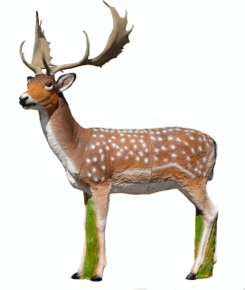 3D terč, daněk, terč Srt Targets